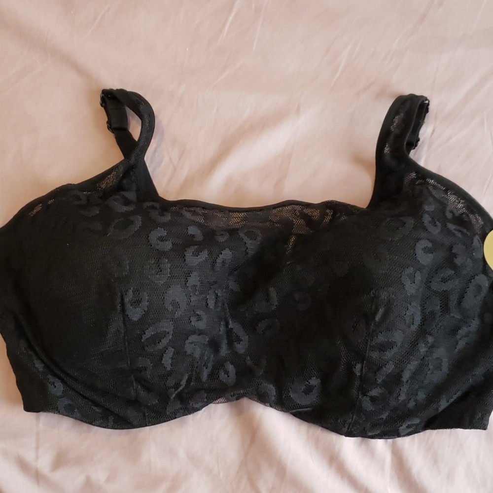 Ashley Stewart Bra